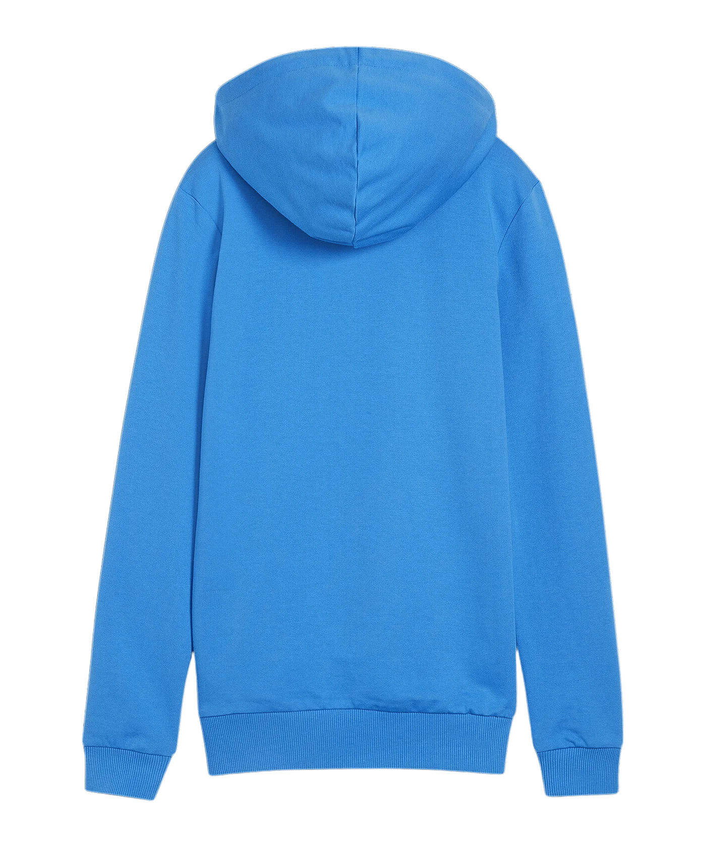 PUMA teamGOAL Casuals Hoody Damen Blau F02