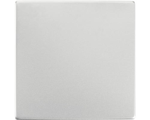 Jung ES 1520 KL stopcontact met klapdeksel, roestvrij staal LS990/LS uitvoering