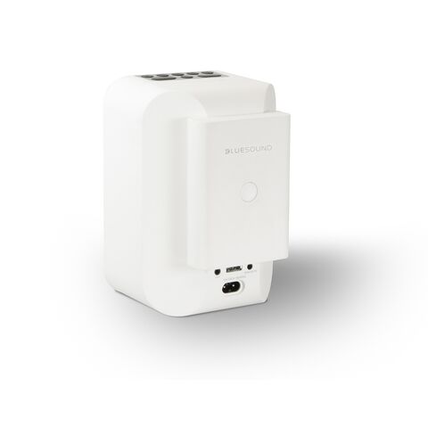 Koop Bluesound PULSE FLEX 2i   BP100 Draadloze luidspreker | 5 Jaar Garantie