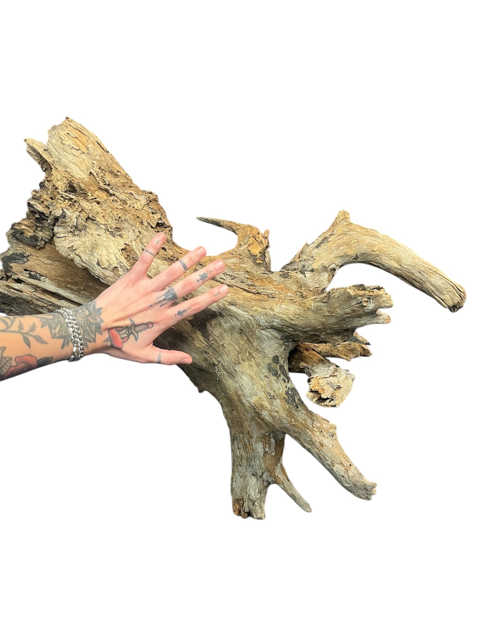 AquastoreXL Corbo Root XL NR05 8,6kg