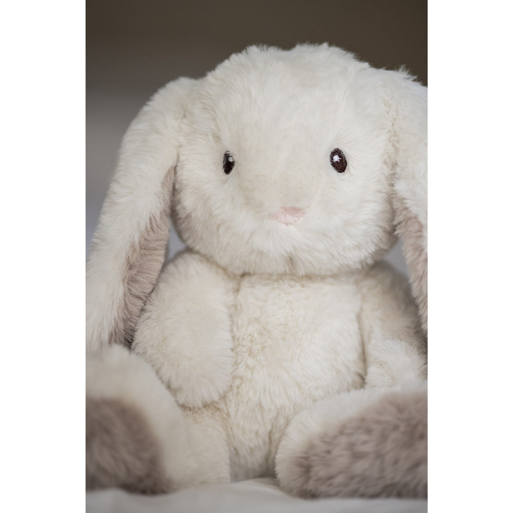 Køb Teddykompaniet Creme Teddy Mocca - Kanin, 34 Cm