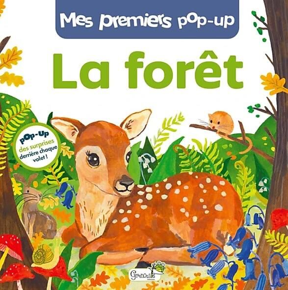 CARTOTHEQUE - LA FORET POP UP