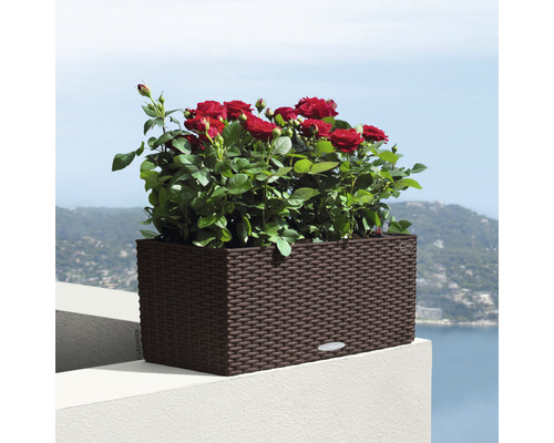 Lechuza Balconera Cottage kunststof bloembak 50x19x19 cm mokka incl. zelfbewateringssysteem en waterniveau-indicator