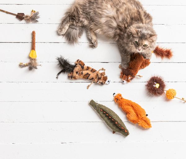 Dehner Lieblinge Katzenspielzeug Little Fox ,
