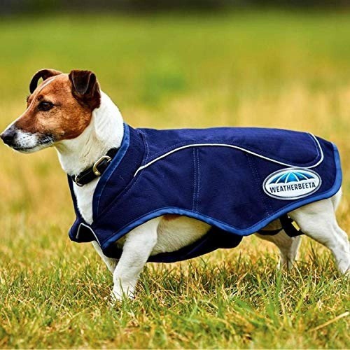 Casaco azul marinho para exercícios de cães
