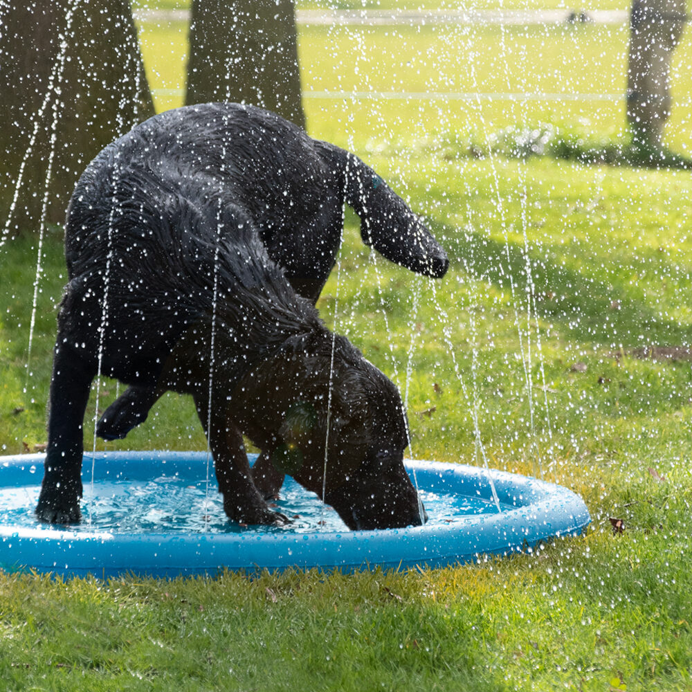 CoolPets Splash Pool Sproeier
