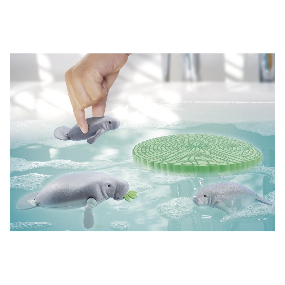 Pirogue et lamantins