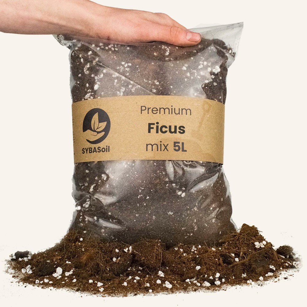 Terreau ficus - 5l