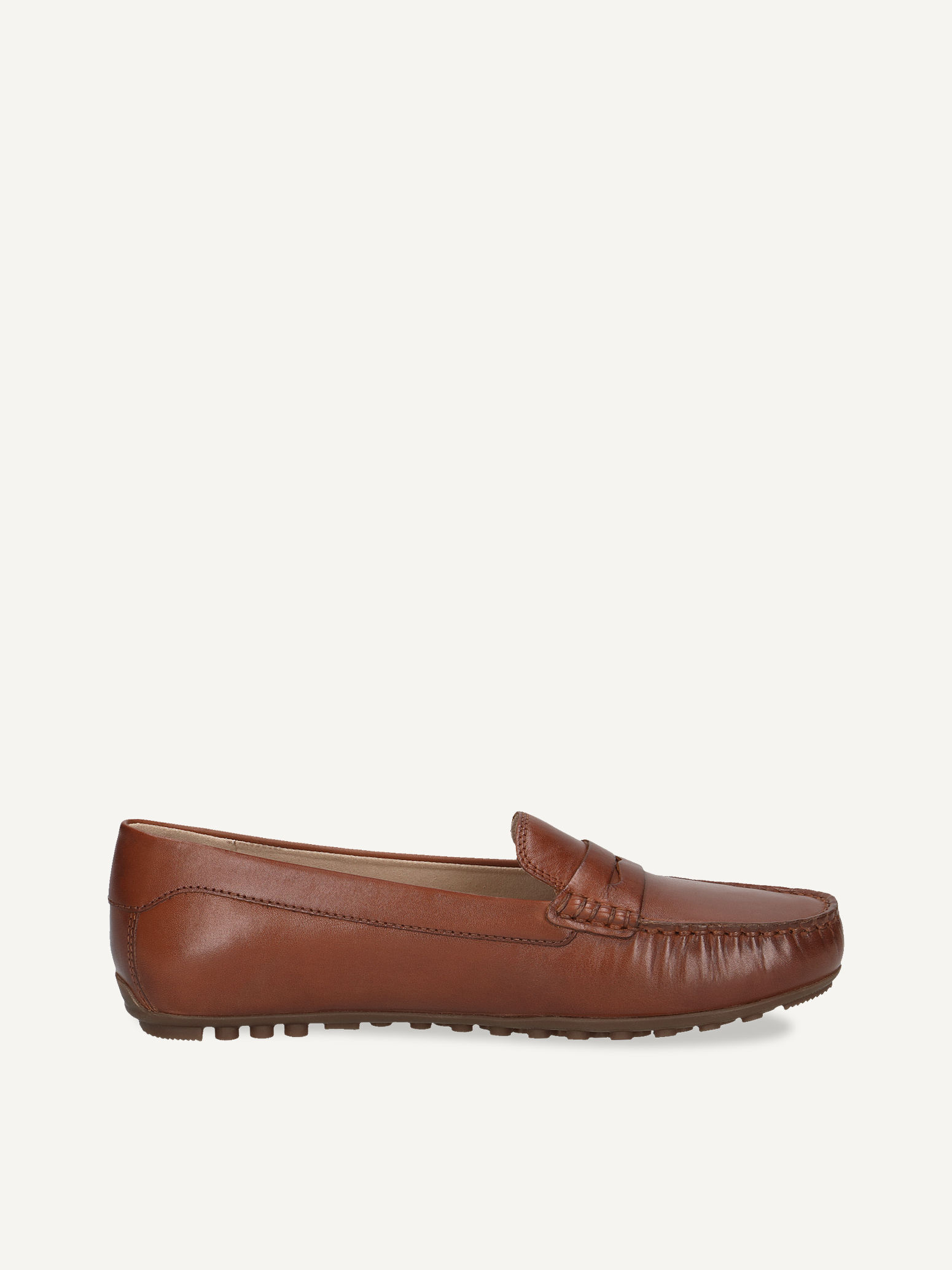 Moccassin