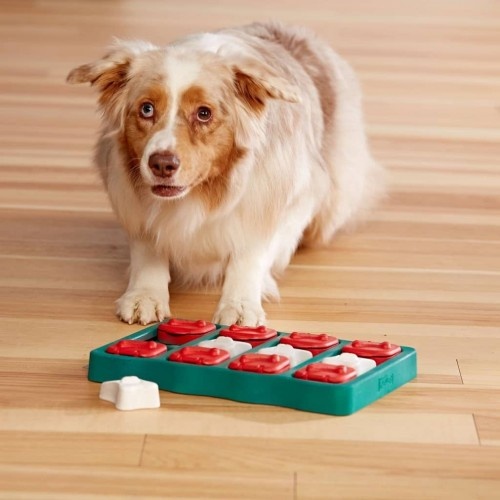 Brinquedo de quebra-cabeça para cães
