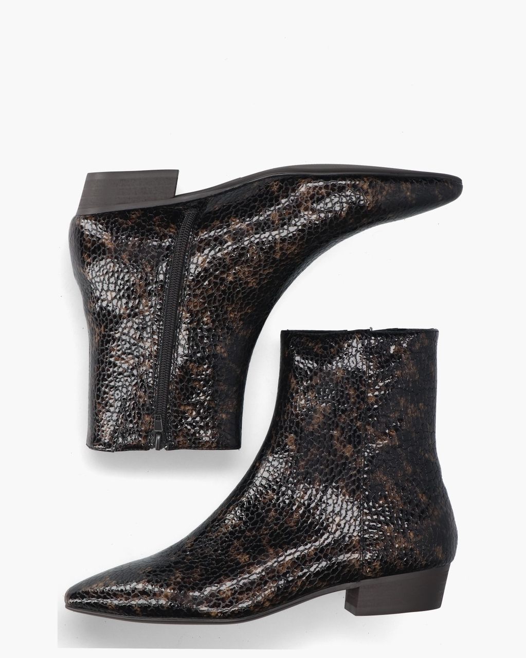 Di Lauro Camelia Donkerbruin Dames Enkelboots