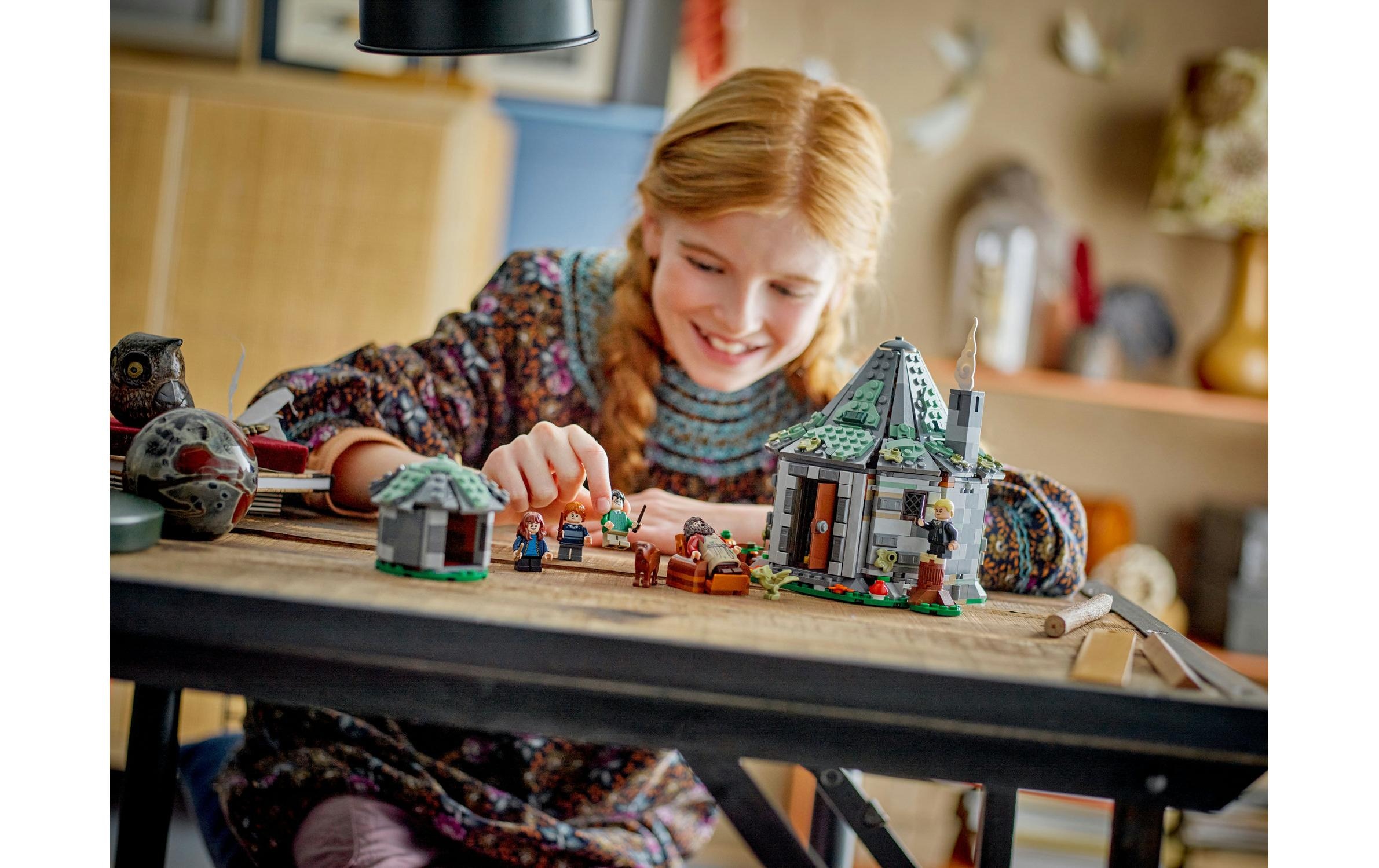 LEGO® Spielbausteine »Harry Potter Hagrids Hütte: Ein unerwarteter Besuch 76428«