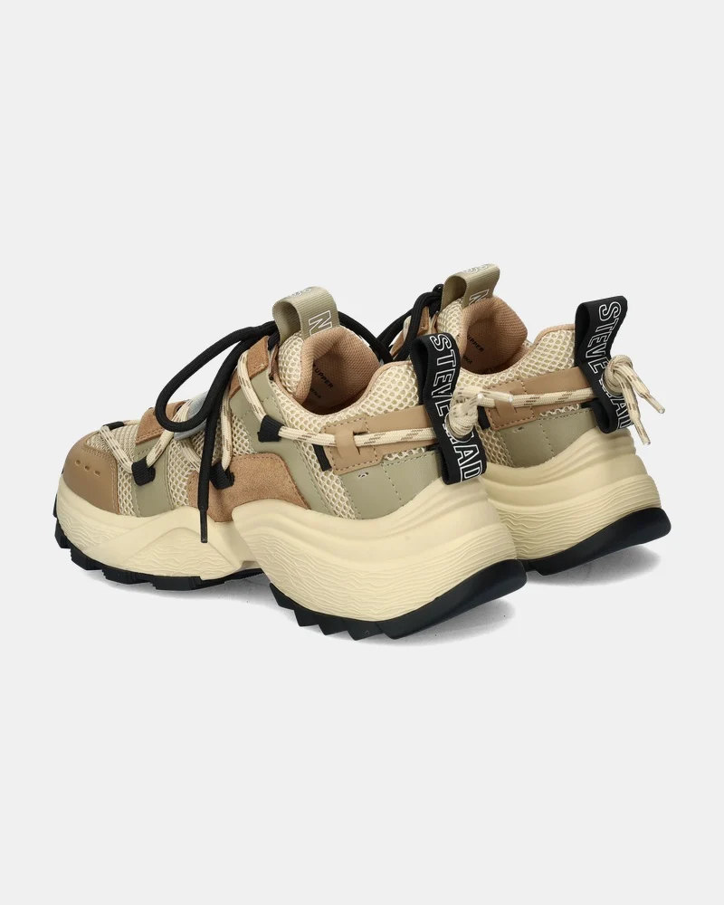 Steve Madden Tazmania Dad Sneakers  - multi