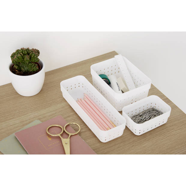 Seoul organizer M, Wit