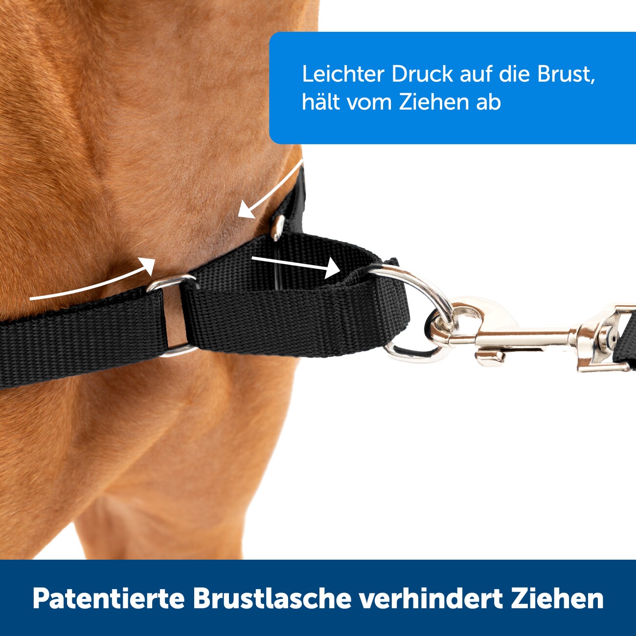PetSafe Easy Walk Anti-Zieh-Hundegeschirr schwarz S