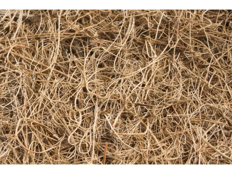 Windhager Mulchscheibe Cocodisc ø 37 cm Pflanzenvlies
