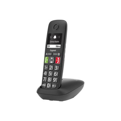 Gigaset E290 Duo - téléphone sans fil à grosse touche + combiné supplémentaire - blanc