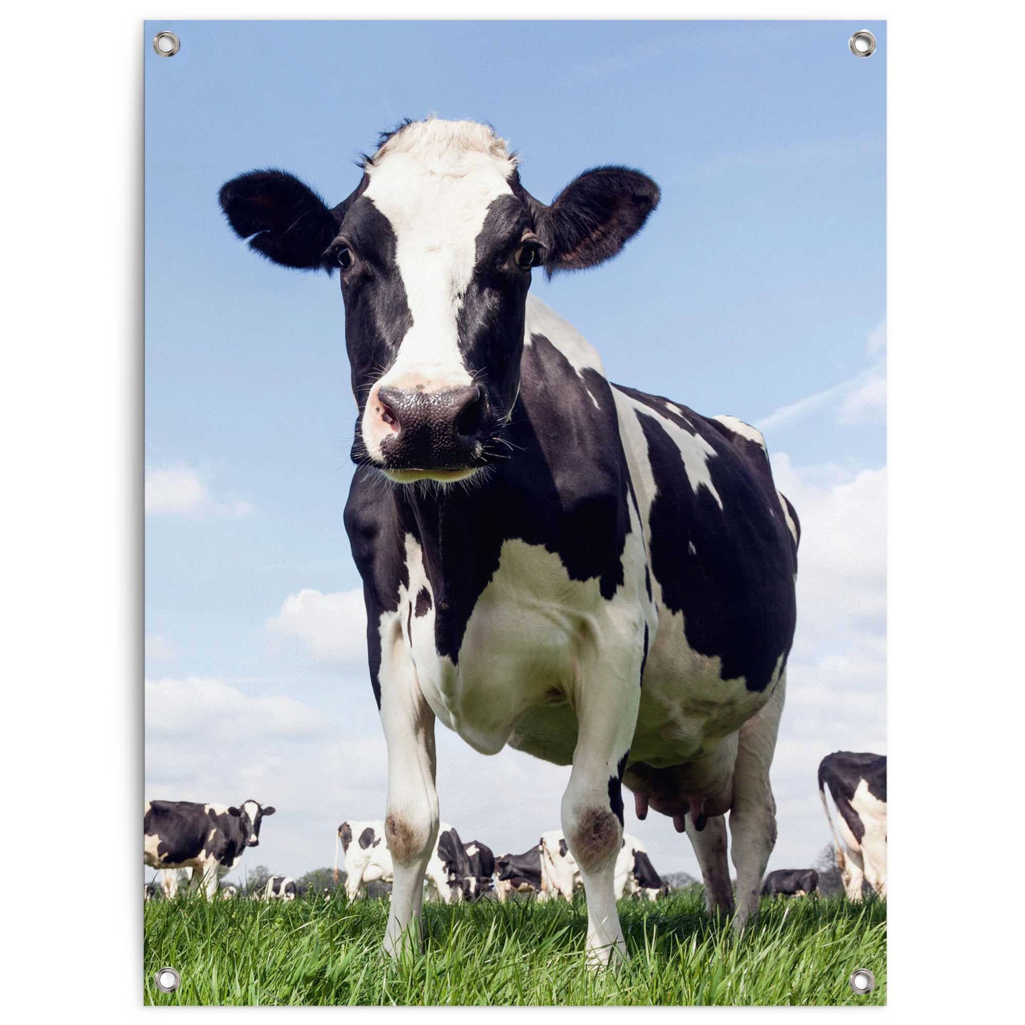Reinders! Poster »Dutch Cow« Garten - Kuh - Wiese - Grün - Leinwand - Tiere - 60x80 cm