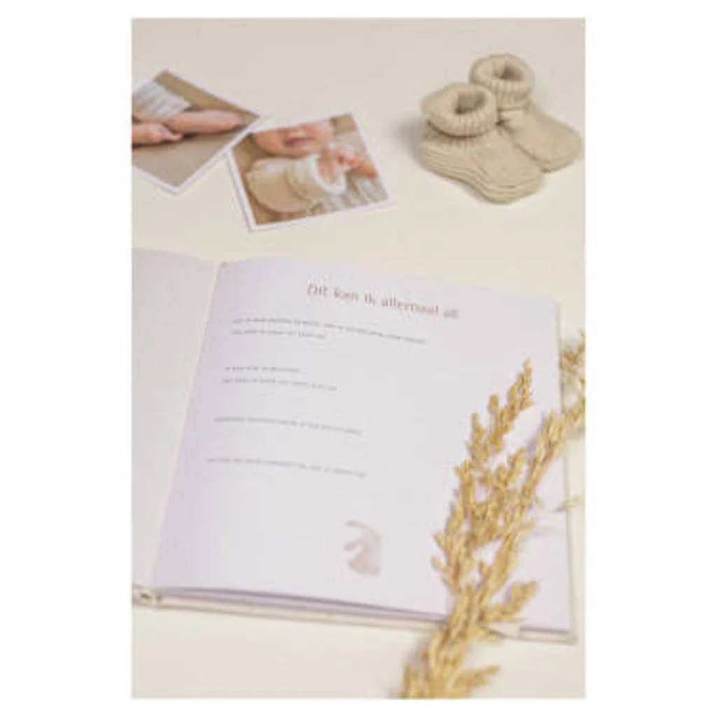 Babyboek 