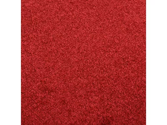 Paillasson Rouge 60x80 cm