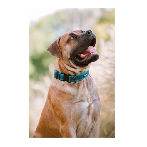 Coleira ajustável APEX DOG GEAR com fecho de metal preto para cães