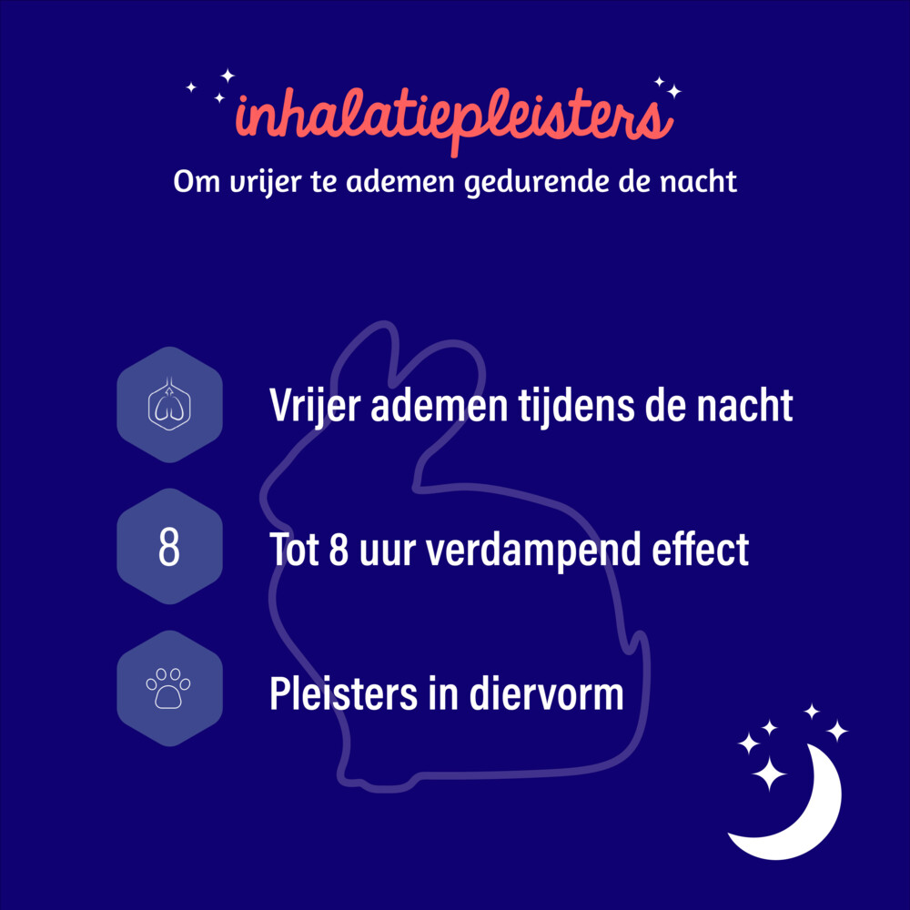 3x Dampo Inhalatiepleisters 6 sachets