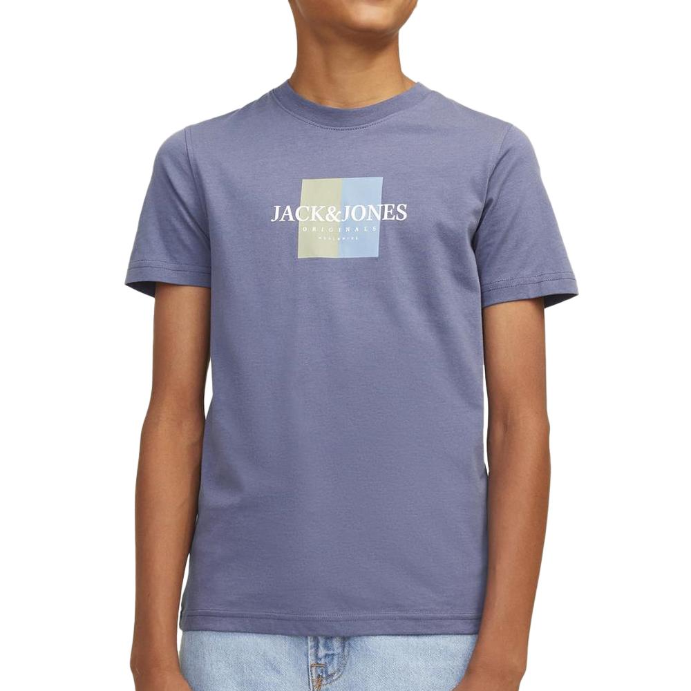 Jack & Jones T-shirt Bleu Garçon Jack & Jones Jorfre