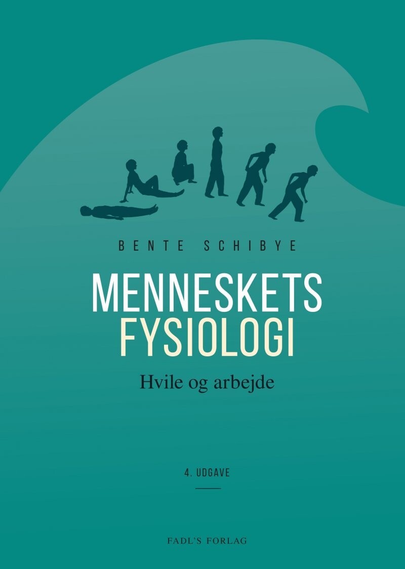 Menneskets Fysiologi - 4. Udgave - Bente Schibye - Bog