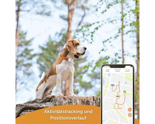 GPS tracker weenect voor honden, 28 g, 6 x 2,4 x 1,5 cm, wit