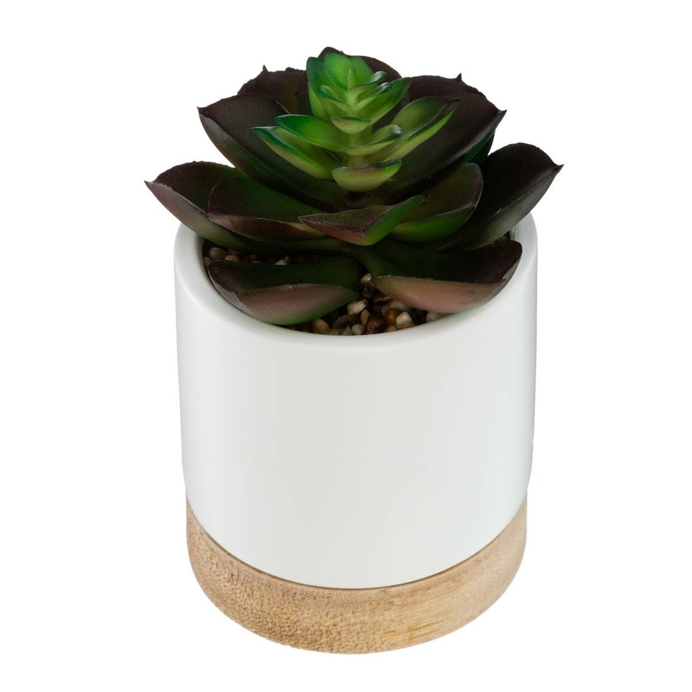 Plante artificielle succulente pot céramique et bois