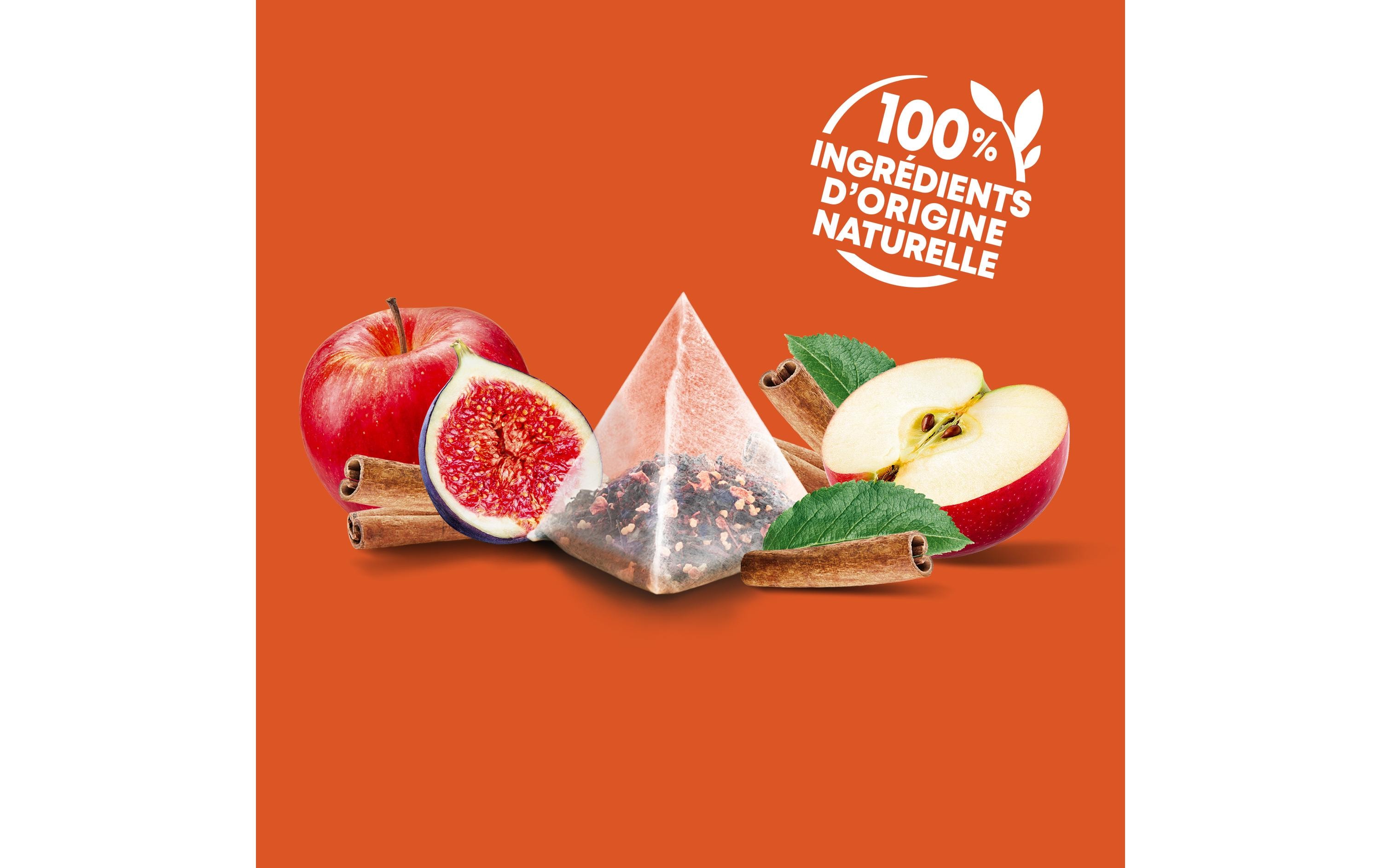 Teebeutel Infusion Pomme Cannelle 20 StückTee mit Apfel und Zimt
