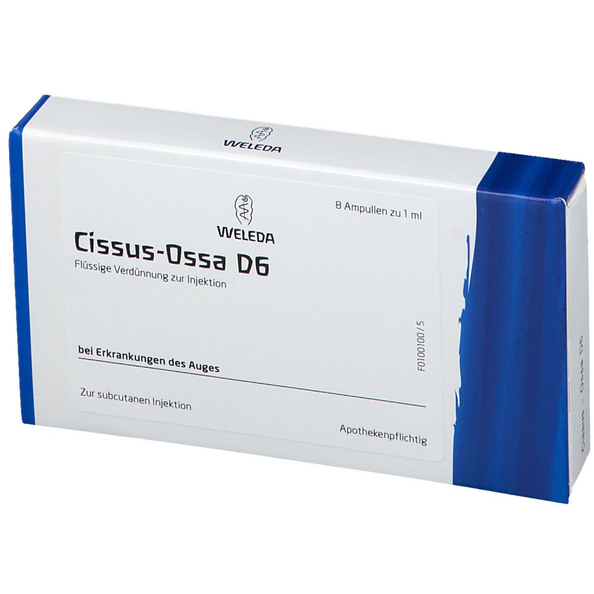 Cissus-ossa D 6 Ampullen