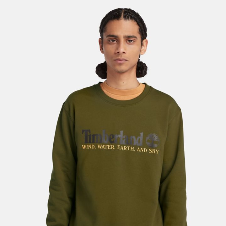 Moletom masculino verde com estampa de vento, água, terra e céu.