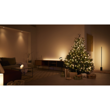 Philips Hue lichtsnoer 250 LED lampjes 20 mtr