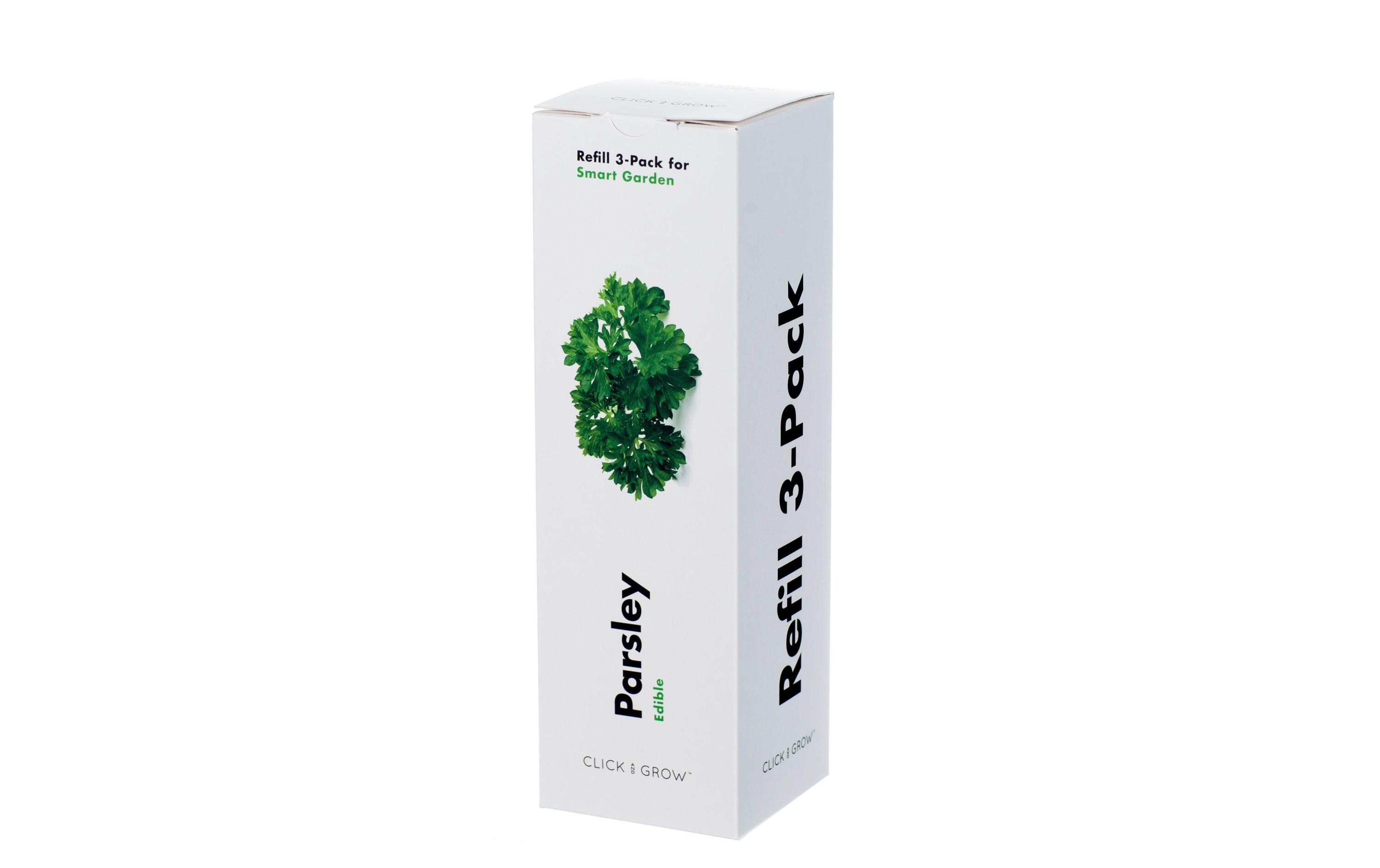 Samen PetersilieNachfüllpackung zum Smart Herb Garden