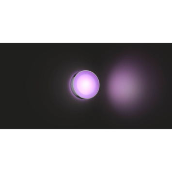 Philips Hue muurlamp Daylo RVS - wit en gekleurd licht 15W