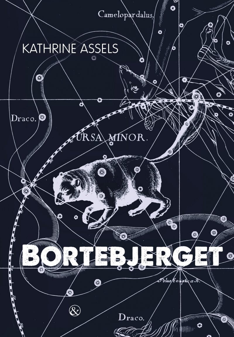 Bortebjerget - Kathrine Assels - Bog