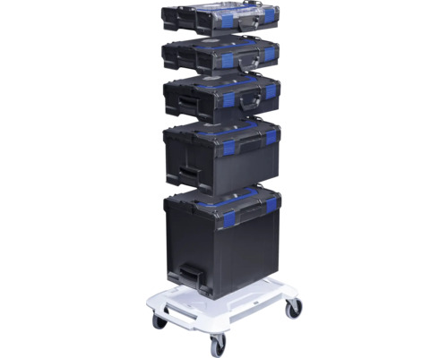 Gereedschapskoffer met kleine onderdeleninzetstuk Industrie L-BOXX 102 maat 1 445 x 118 x 358 mm zwart