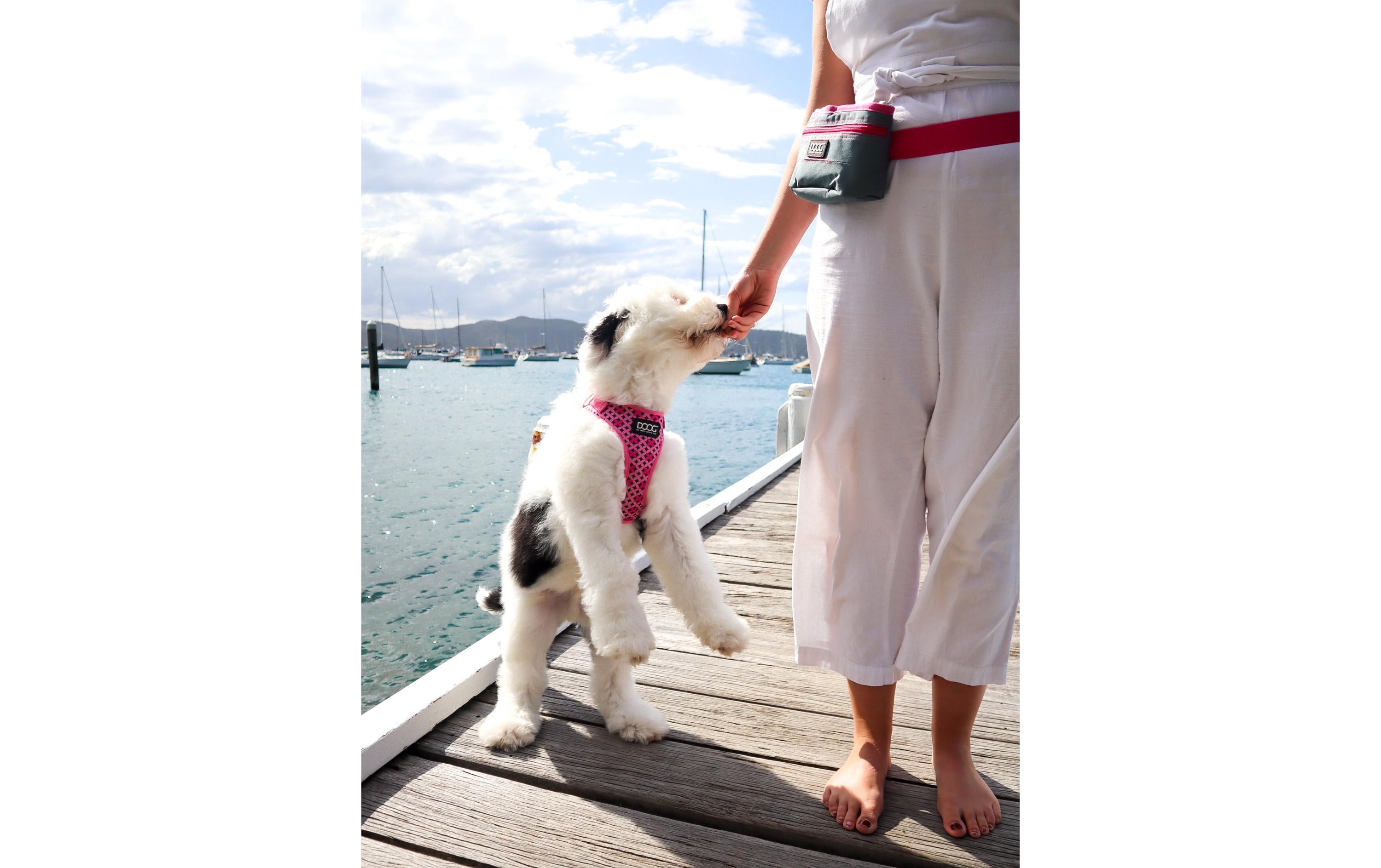 Geschirr Neoflex Toto L Pink / SchwarzNeopren-Softgeschirr für kleine bis mittelgrosse Hunde