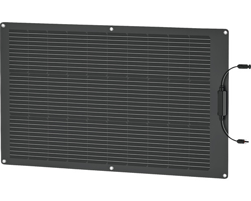 EcoFlow Flexibele Zonnemodule 100 W