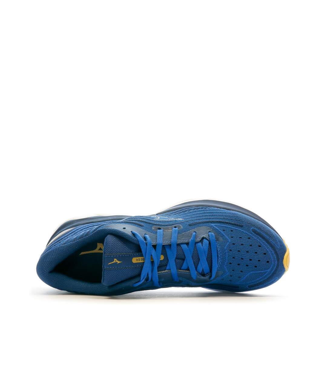Chaussures de Running Bleu Homme Mizuno Wave Skyrise