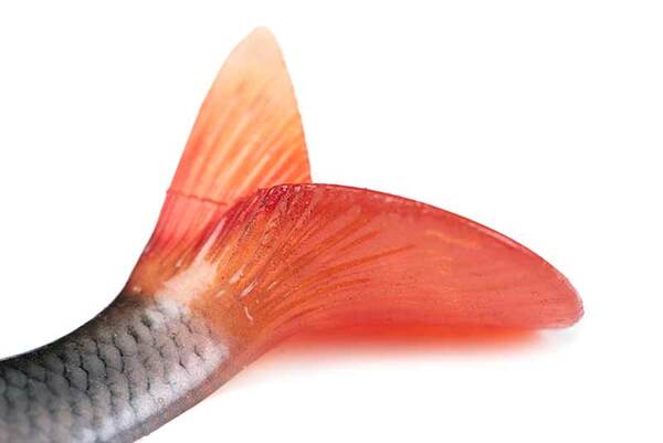 Fox Rage Ultra-Realistic Roach Replicant 10cm (18g)