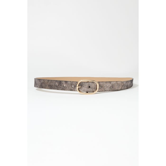 Veritas-Riem shiny gesp