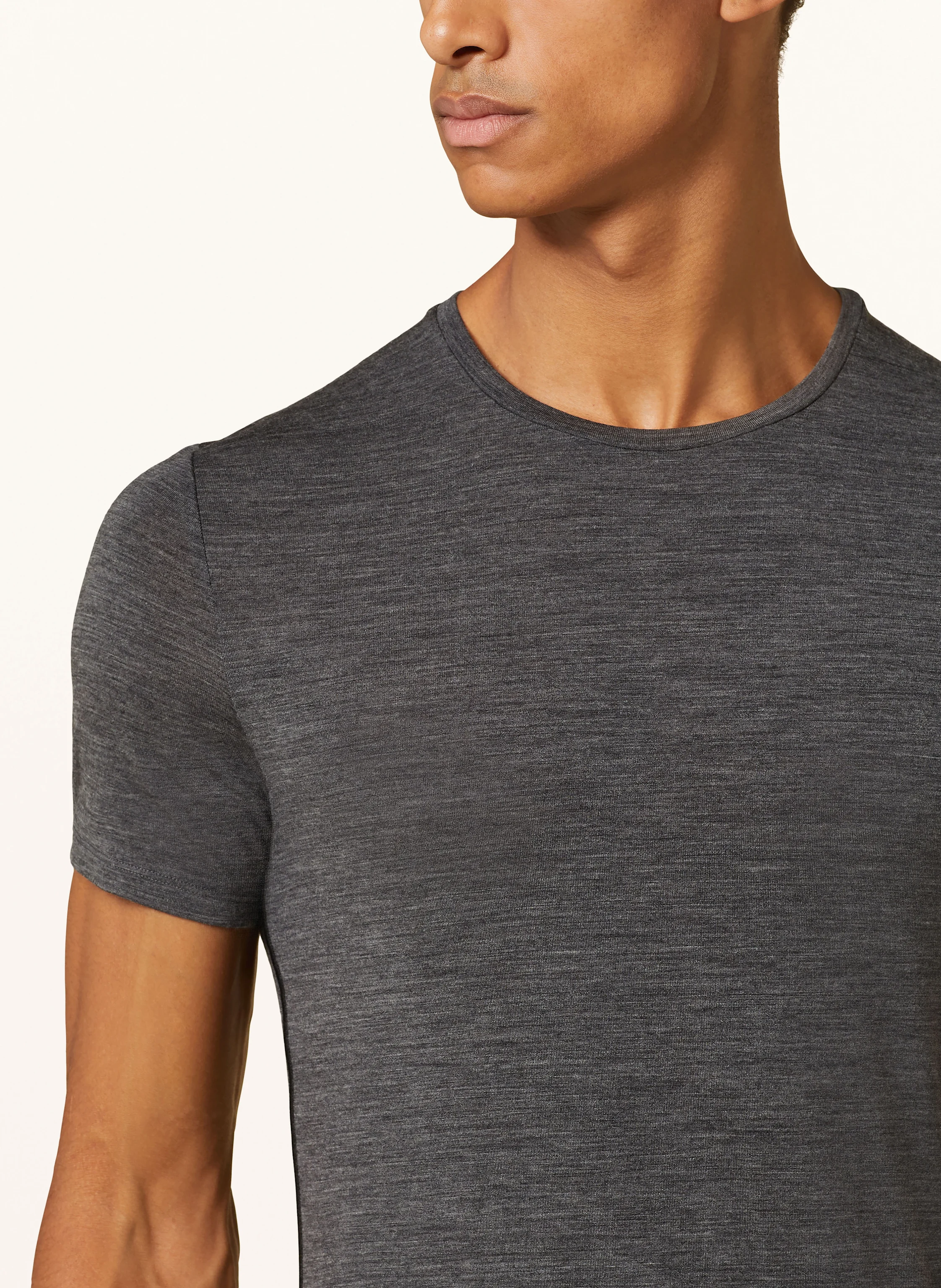 icebreaker Funktionswäsche-Shirt ANATOMICA aus Merinowolle