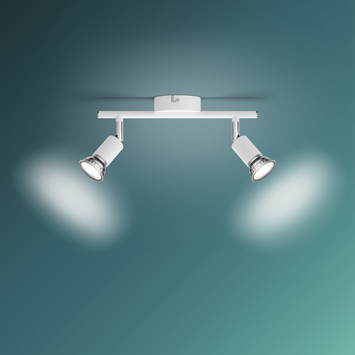 Philips Limbali 2-lichts opbouwspot wit 50W