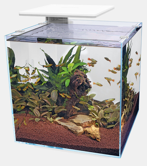 Superfish Qubiq 60 Pro Wit