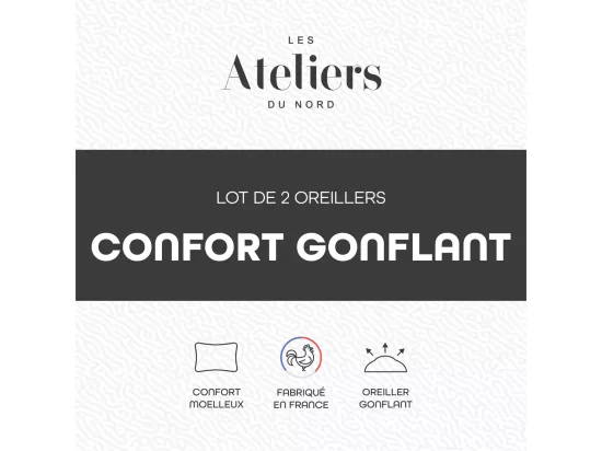 Lot de 2 Oreillers Volume Moelleux 60x60cm