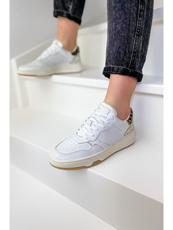 Sneakers TIMELESS LOW TOP Multicolor - Crime London