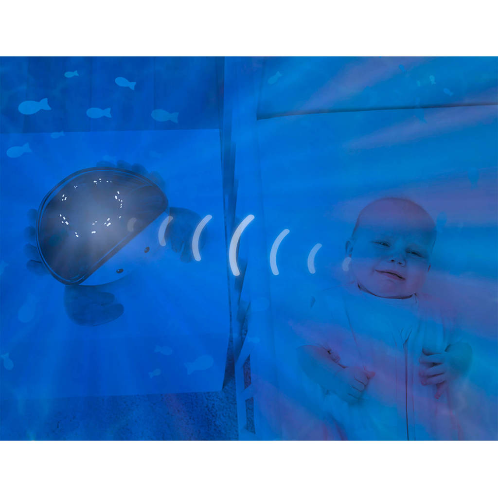 Leuk!Cody Ocean Projector