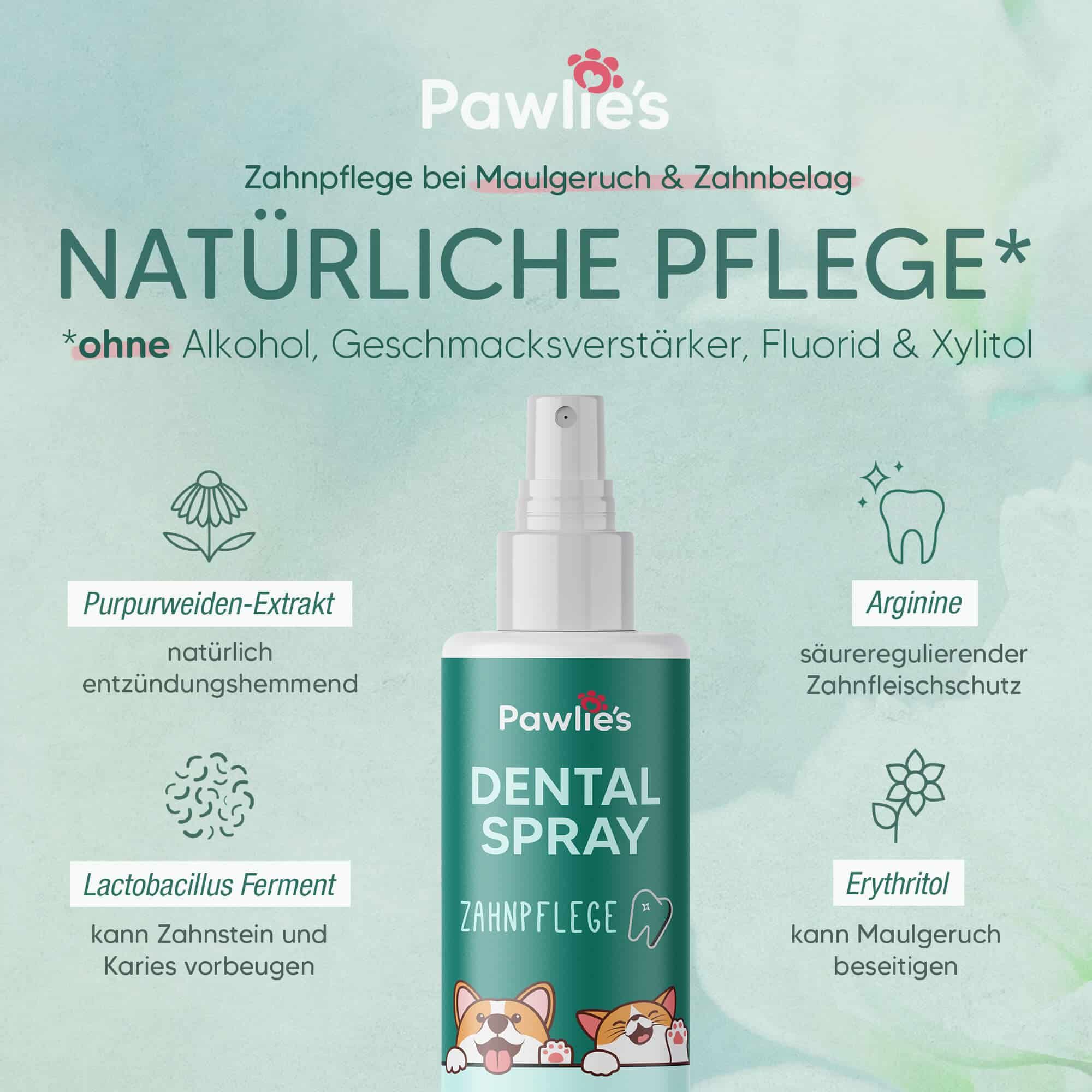 Pawlie's Dentalspray zur Zahnpflege bei Hunden